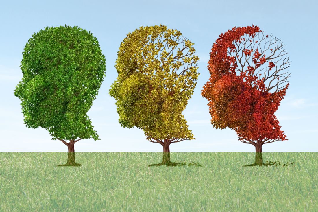 Aging Brain