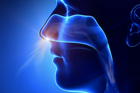 Nasal Breathing VS Mouth Breathing