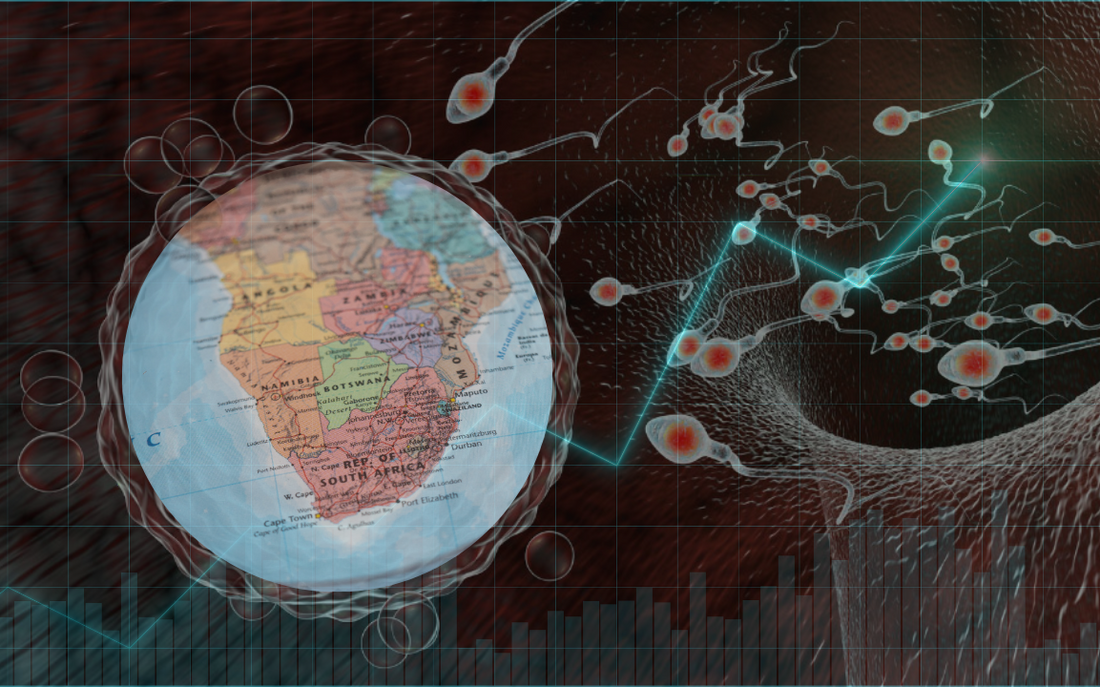 The Hidden Crisis: Declining Fertility in the Western World (15 August, 2024 / Scott Wustenberg)