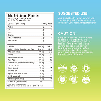 Elevate Electrolyte Salts with Creatine – Lemon Flavour
