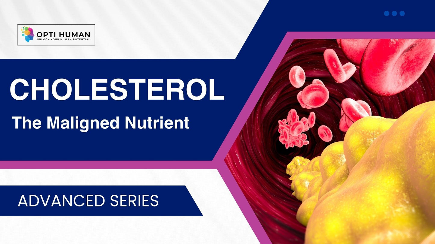 Cholesterol Course | The Truth About Brain, Hormone & Immune Health