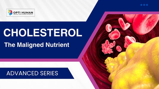 Cholesterol Course | The Truth About Brain, Hormone & Immune Health