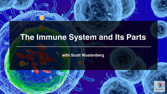 Immunity & Gut Health Course | Understanding Your Body's Defense System