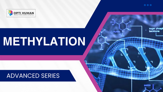 Methylation Course | Understanding the Body's Key Biological Process