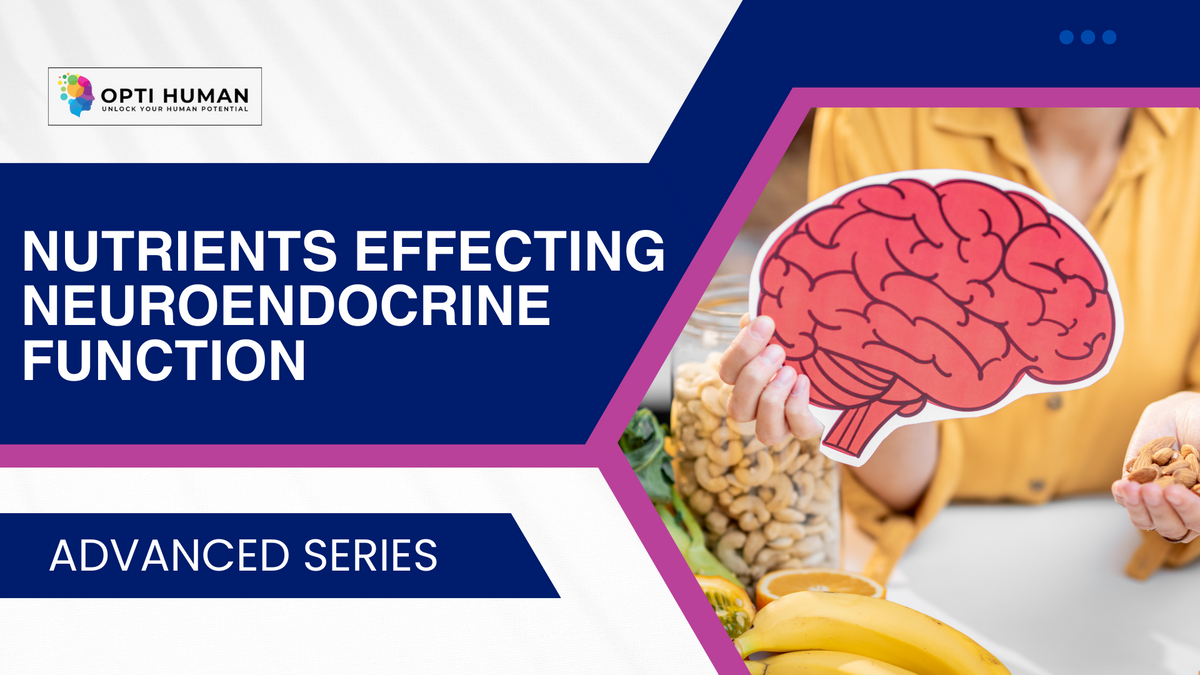 Nutrients & Neuroendocrine Function Course | Food's Effect on Brain & Hormones